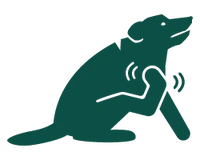 Revitalize Your Dog's Gut Health