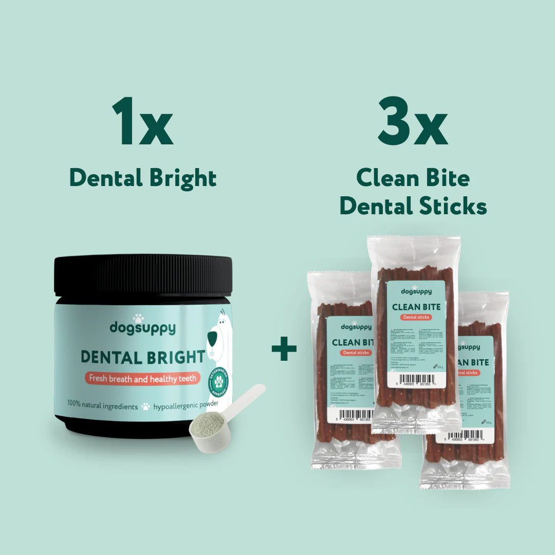 Healthy Teeth