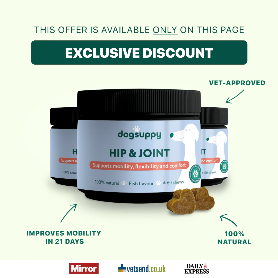 Hip & Joint
