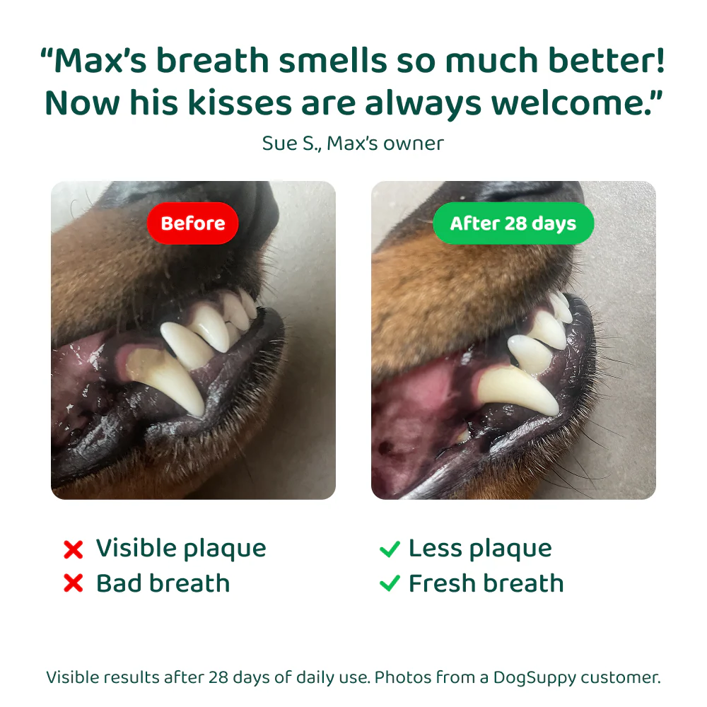 Dental Bright™ 🌿 100% natural 🫙 60 scoops - Image 10
