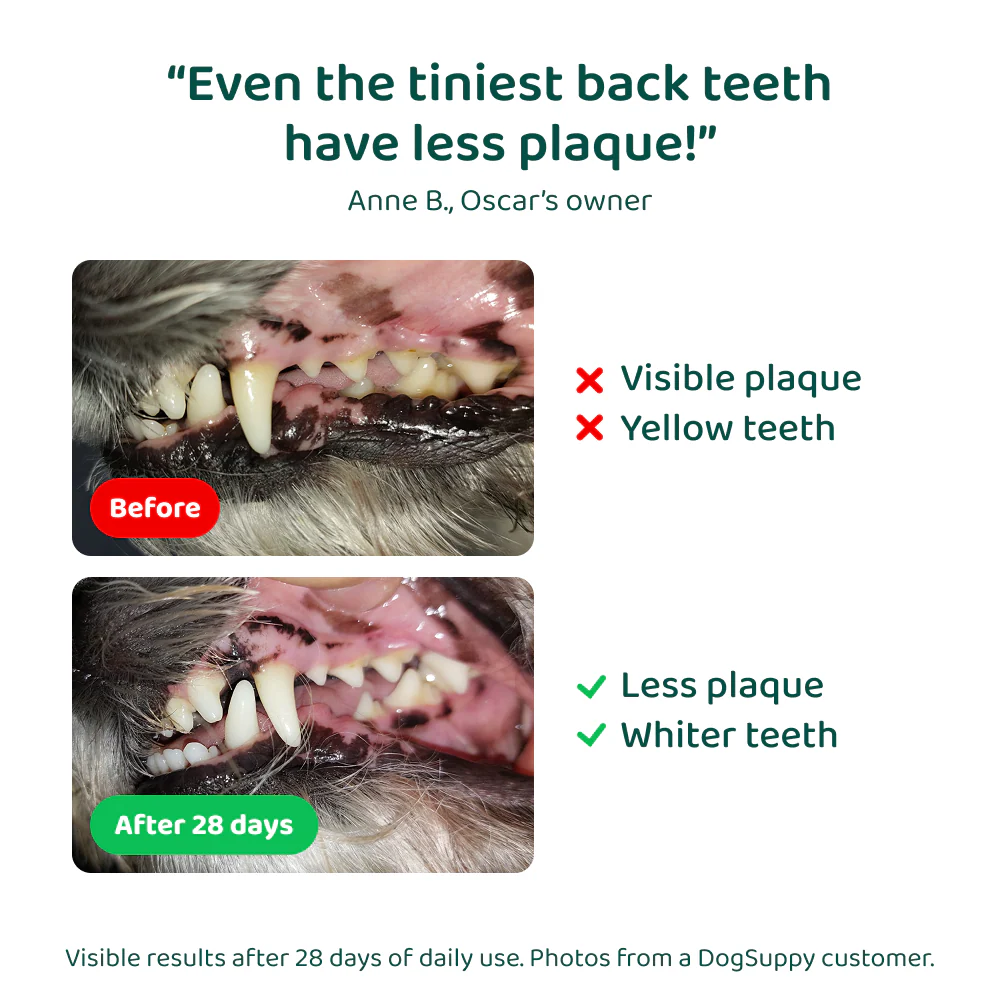 Dental Bright™ 🌿 100% natural 🫙 60 scoops - Image 8