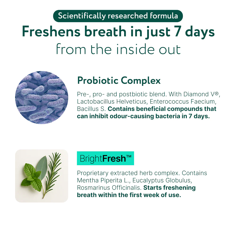 Dental Bright™ 🌿 100% natural 🫙 60 scoops - Image 4