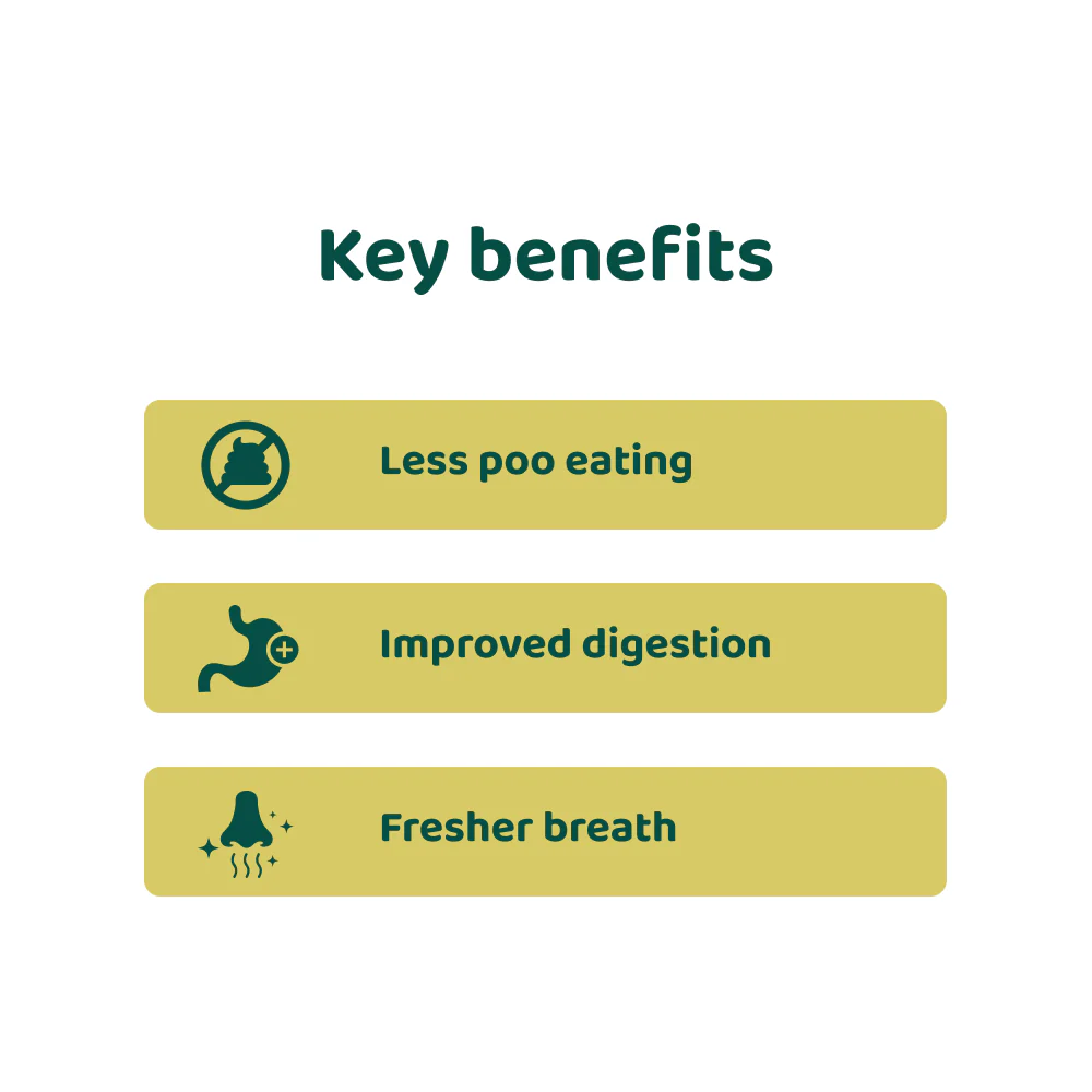 No Poo Eating 🌿 100% natural 🫙 60 soft chews - Image 4