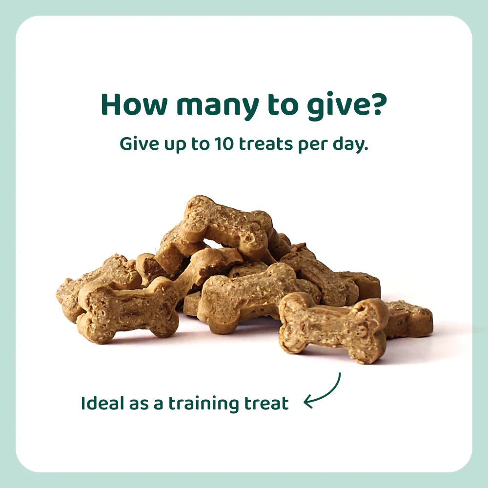 Vitamin Boost 🌿 100% natural 🫙 60-70 treats - Image 3